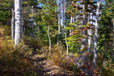 Kennecott Rio Tinto Copper madeni, Tooele ve Salt Lake City 'nin yanındaki Wasatch Front Rocky Dağları boyunca uzanan Oquirrh dağlarının Butterfield Kanyonu yürüyüş yolu manzarası. Utah, Birleşik Devletler.