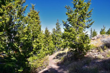 Kennecott Rio Tinto Copper madeni, Tooele ve Salt Lake City 'nin yanındaki Wasatch Front Rocky Dağları boyunca uzanan Oquirrh dağlarının Butterfield Kanyonu yürüyüş yolu manzarası. Utah, Birleşik Devletler.