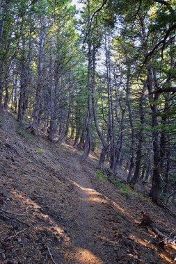 Kennecott Rio Tinto Copper madeni, Tooele ve Salt Lake City 'nin yanındaki Wasatch Front Rocky Dağları boyunca uzanan Oquirrh dağlarının Butterfield Kanyonu yürüyüş yolu manzarası. Utah, Birleşik Devletler.