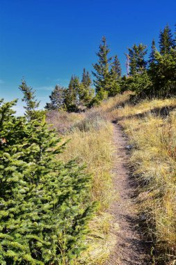 Kennecott Rio Tinto Copper madeni, Tooele ve Salt Lake City 'nin yanındaki Wasatch Front Rocky Dağları boyunca uzanan Oquirrh dağlarının Butterfield Kanyonu yürüyüş yolu manzarası. Utah, Birleşik Devletler.