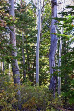 Kennecott Rio Tinto Copper madeni, Tooele ve Salt Lake City 'nin yanındaki Wasatch Front Rocky Dağları boyunca uzanan Oquirrh dağlarının Butterfield Kanyonu yürüyüş yolu manzarası. Utah, Birleşik Devletler.