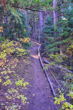 Kennecott Rio Tinto Copper madeni, Tooele ve Salt Lake City 'nin yanındaki Wasatch Front Rocky Dağları boyunca uzanan Oquirrh dağlarının Butterfield Kanyonu yürüyüş yolu manzarası. Utah, Birleşik Devletler.