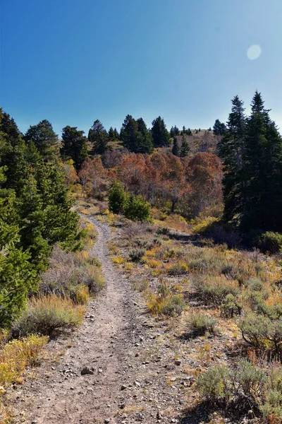 Butterfield Canyon Ścieżki Piesze Widoki Łańcuch Oquirrh Wzdłuż Wasatch Front — Zdjęcie stockowe
