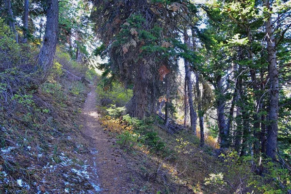 バターフィールド キャニオンのハイキング パスからは ウォッチ フロント ロッキー山脈沿いのオイリル山脈 ケネコット ティント銅鉱山 トゥーレ ソルトレイクシティの秋の景色を眺めることができます — ストック写真