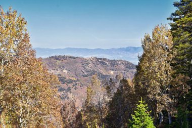 Moab Panorama 'nın Utah' taki Colorado Nehri Ut. 128 numaralı karayolu manzarası Hal ve Jackass Canyon ve Red Cliffs Lodge etrafında sonbaharda güneşli bir sabah. Utah, Canyonlands ve Arches Ulusal Parkı yakınlarındaki manzara. Birleşik Devletler.