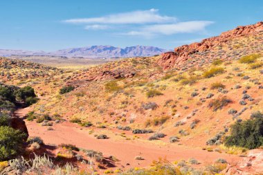 Kızıl Kayalıklar Ulusal Koruma Alanı Yabanı ve Fil Kemeri 'nden Kar Kanyonu Parkı ve Utah' ın çöl rezervinde bulunan St. George, Utah 'ın kemik yıkama yolu. Birleşik Devletler. Usa.