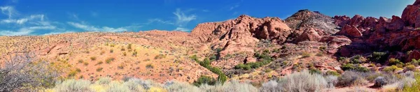 位于美国犹他州圣乔治沙漠保护区的红崖国家保护区荒野和雪峡谷国家公园 由大象拱和骨清洗道组成 Usa — 图库照片
