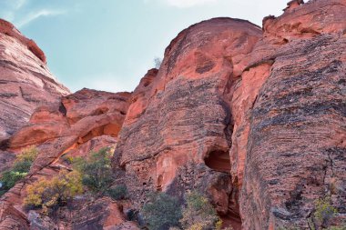 Kızıl Kayalıklardaki Fil Yayı Ulusal Koruma Alanı Yabanı ve St. George, Utah 'taki Kar Kanyonu Eyalet Parkı' nda çöl arazisinde yürüyüş. Birleşik Devletler. Usa.