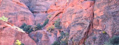 Kızıl Kayalıklardaki Fil Yayı Ulusal Koruma Alanı Yabanı ve St. George, Utah 'taki Kar Kanyonu Eyalet Parkı' nda çöl arazisinde yürüyüş. Birleşik Devletler. Usa.