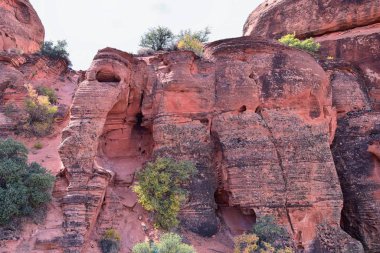 Kızıl Kayalıklardaki Fil Yayı Ulusal Koruma Alanı Yabanı ve St. George, Utah 'taki Kar Kanyonu Eyalet Parkı' nda çöl arazisinde yürüyüş. Birleşik Devletler. Usa.