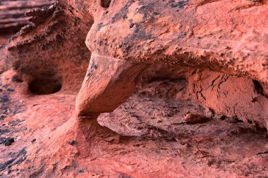 Kızıl Kayalıklar ve Turuncu Kum Taşı oluşumları Saint George, Utah 'taki Kızıl Kayalıklar Ulusal Çöl Rezervi' ndeki Kemik Yıkama Fil Kemeri Yolu boyunca. Birleşik Devletler.