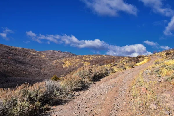Utah Taki Oquirrh Wasatch Rocky Dağları Ndaki Yürüyüş Parkurlarında Yapraklar — Stok fotoğraf