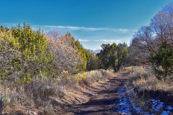 Hiking Trails Oquirrh Wasatch Rocky Mountains Utah Late Fall Leaves — Stock Photo, Image