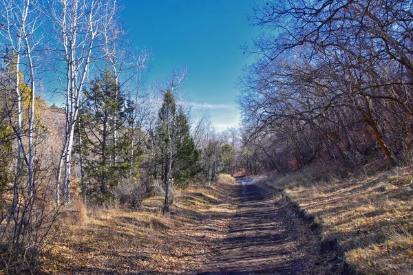 Trilhas Para Caminhadas Oquirrh Wasatch Montanhas Rochosas Utah Late Fall — Fotografia de Stock