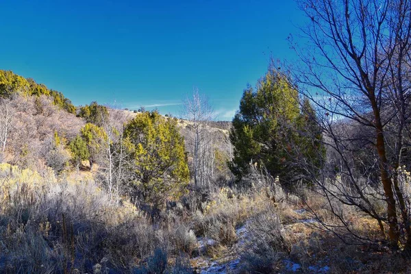 Szlaki Turystyczne Oquirrh Wasatch Góry Skaliste Utah Późną Jesienią Liśćmi — Zdjęcie stockowe