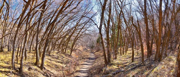 Trilhas Para Caminhadas Oquirrh Wasatch Montanhas Rochosas Utah Late Fall — Fotografia de Stock