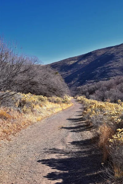 Utah Taki Oquirrh Wasatch Rocky Dağları Ndaki Yürüyüş Parkurlarında Yapraklar — Stok fotoğraf