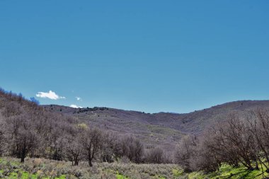 Baharın başlarında Oquirrh Dağları 'ndan Wasatch Front Rocky Dağları, Sarı Çatal Yolu' nda Yürüyüş ve Büyük Tuz Gölü Vadisi 'nde Gül Kanyonu manzarası. Utah, Birleşik Devletler. ABD.