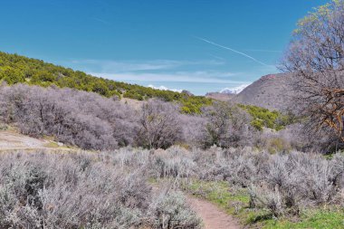 Baharın başlarında Oquirrh Dağları 'ndan Wasatch Front Rocky Dağları, Sarı Çatal Yolu' nda Yürüyüş ve Büyük Tuz Gölü Vadisi 'nde Gül Kanyonu manzarası. Utah, Birleşik Devletler. ABD.