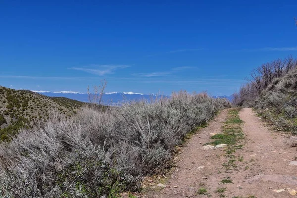 Blick Auf Die Wasatch Front Rocky Mountains Von Den Oquirrh — Stockfoto