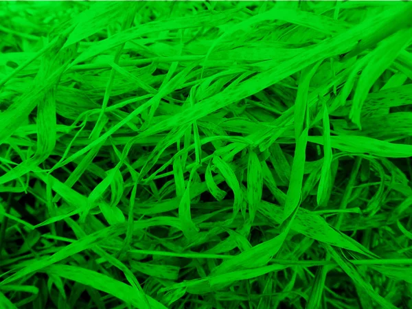 Разноцветные Текстурные Волокна Свет Знака Травы Сена — стоковое фото