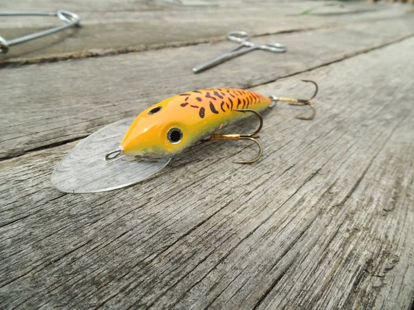 Varios Aparejos Pesca Para Depredadores —  Fotos de Stock