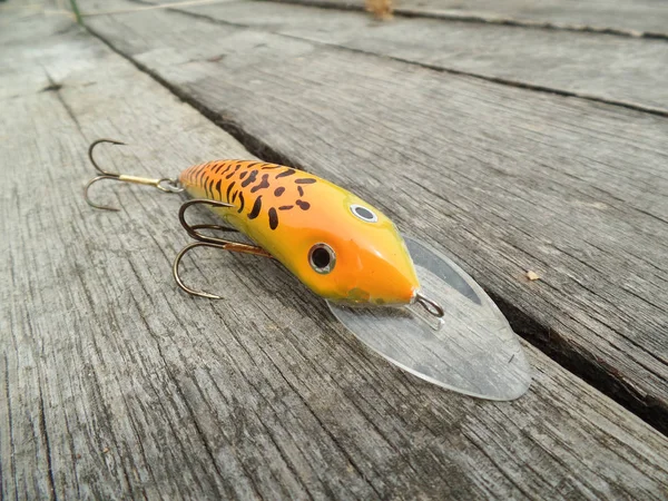 various fishing lures for predators