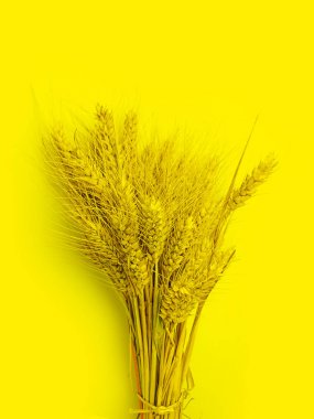 tahıl kulakları buğday, bir köy 