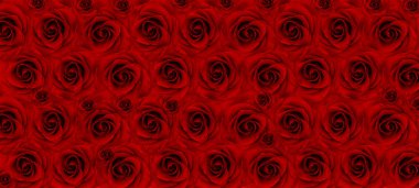 Güzel ve eşsiz düzenlenmiş çiçekler, duvar kâğıdı gibi mükemmel bir grafik arka plandır. 