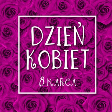 Kadınlar Günü kartı Lehçe Dzie Kobiet kelime. Lale çiçek küçük kalpler Beyaz ahşap zemin üzerinde.