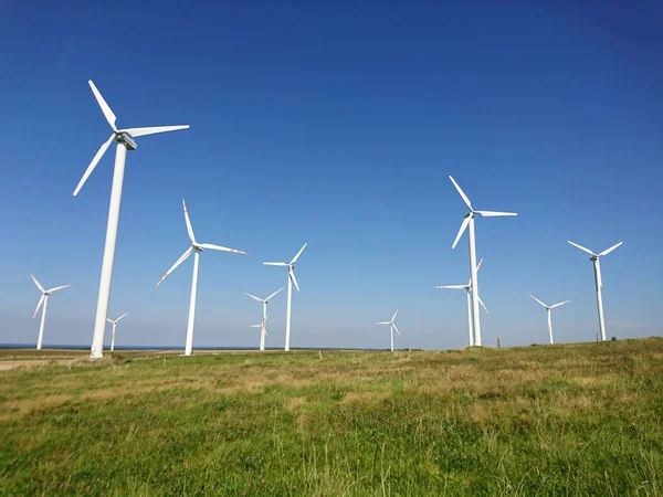 wind power plant, green power from the fans