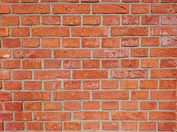 Красочная Стена Кирпича — стоковое фото