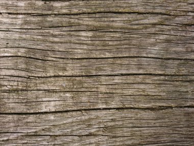 farklı renkler paskalnego ahşap arka plan için çok uygun 