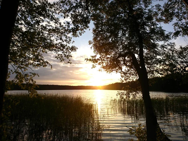 森林湖上的落日 — 图库照片
