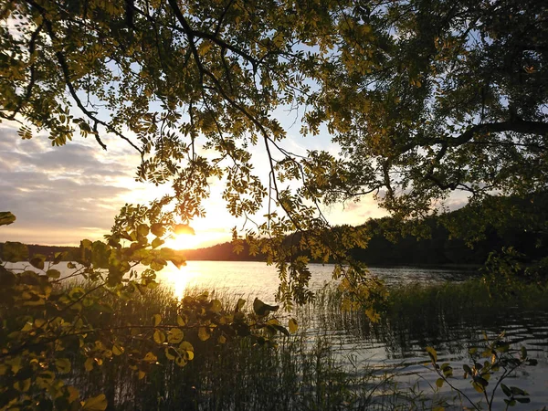 Sonnenuntergang Über Dem Waldsee — Stockfoto