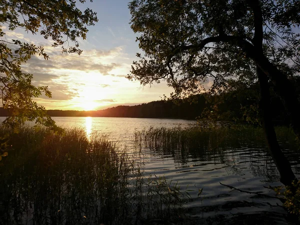 Sonnenuntergang Über Dem Waldsee — Stockfoto