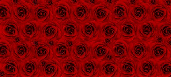 Kalp Aşk Güller Sevgililer Günü Şubat Seni Seviyorum — Stok fotoğraf