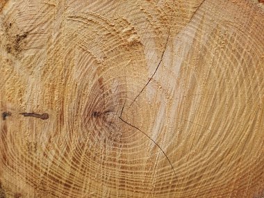 panoları, panoları, ahşap, günlüğe kaydetme, yakacak odun yığını,