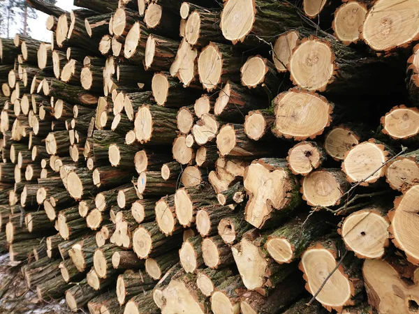 Stapel Planken Platen Hout Logging Brandhout — Stockfoto