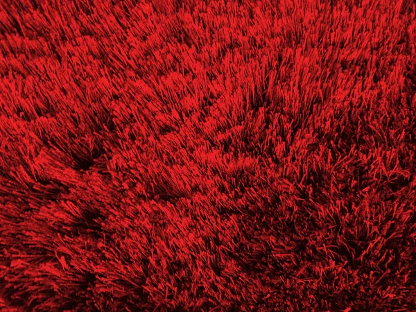 Shaggy Carpet Imitating Grass Graphic Background — Stock Photo, Image