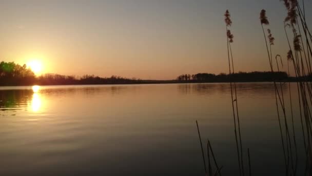 Ηλιοβασίλεμα Στη Λίμνη Ψάρεμα Ηλιοβασίλεμα — Αρχείο Βίντεο