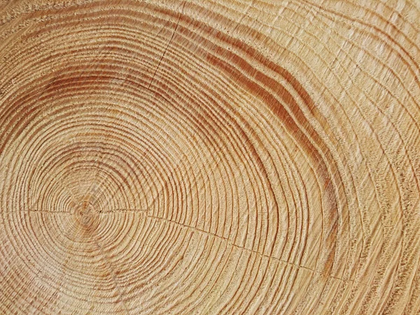 wood grain, cut wood as background