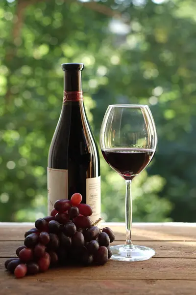 Üveg, pohár bor és a szőlő — Stock Fotó
