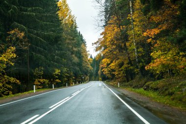 Güzel yol. Yılın zamanı sonbahar.