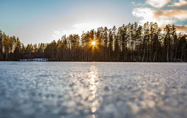 Puesta Sol Primavera Fondo Lago Congelado Bosque — Foto de Stock
