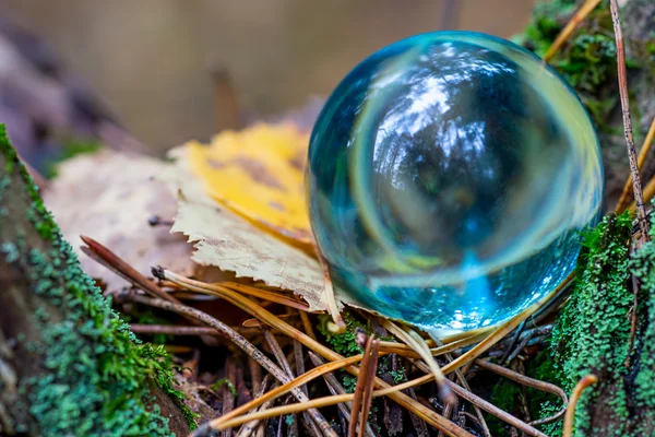 Das Konzept der Natur, Herbstwald. Kristallblaue Kugel auf einem alten Holzstumpf mit Blättern und Moos. Stockfoto