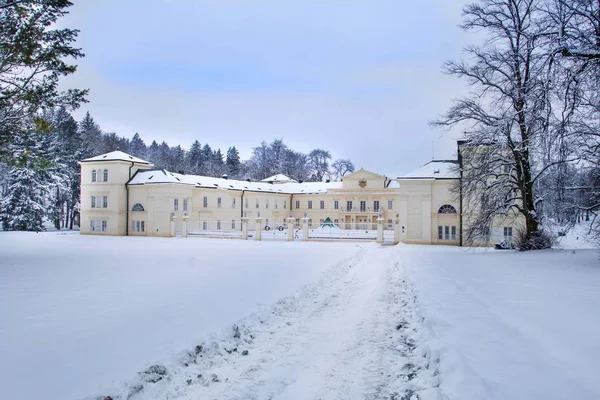 Державний Чато Кінцварт Зимовому Замку Розташований Поблизу Відомого Заході Богемії — стокове фото