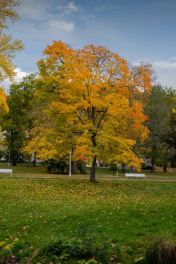 Spa Parkı - Marianske Lazne (Marienbad) - Çek Cumhuriyeti