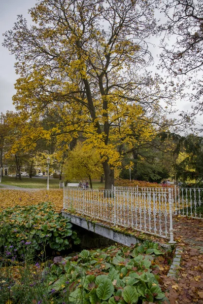 Spa Park Marianske Lazne Marienbad Tjeckien — Stockfoto