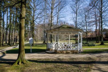 Maden suyu pınarının ahşap köşkü - Frantiskovy Lazne 'deki kamu parkı (Franzensbad) - Çek Cumhuriyeti